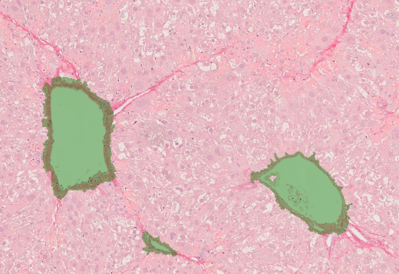 Dynamic Content Image